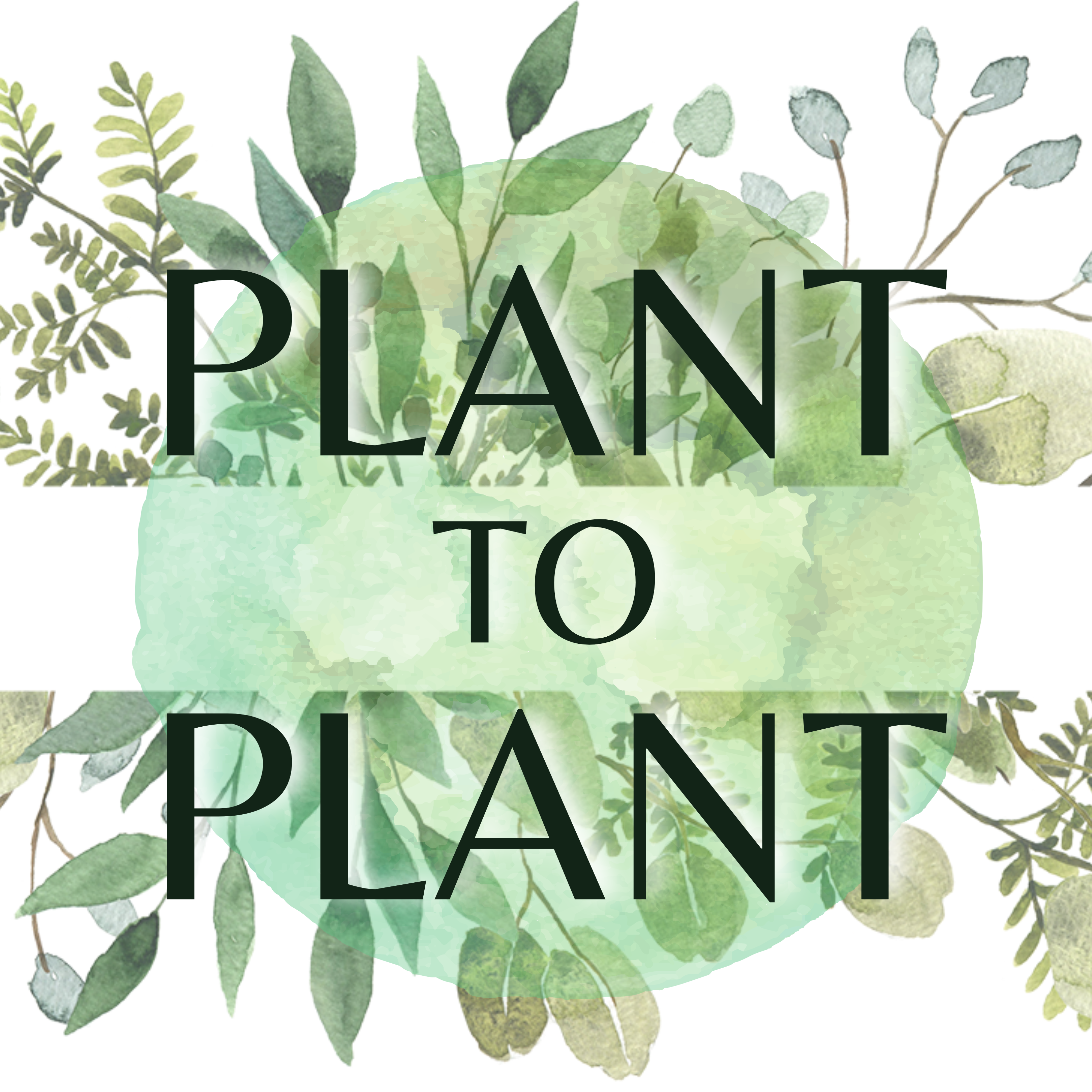 Plant to plant logo