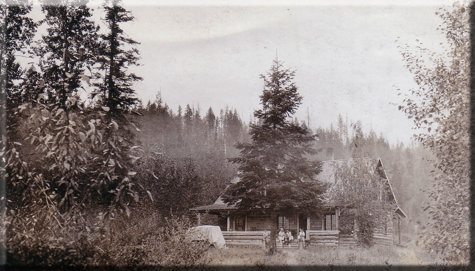 House in forest