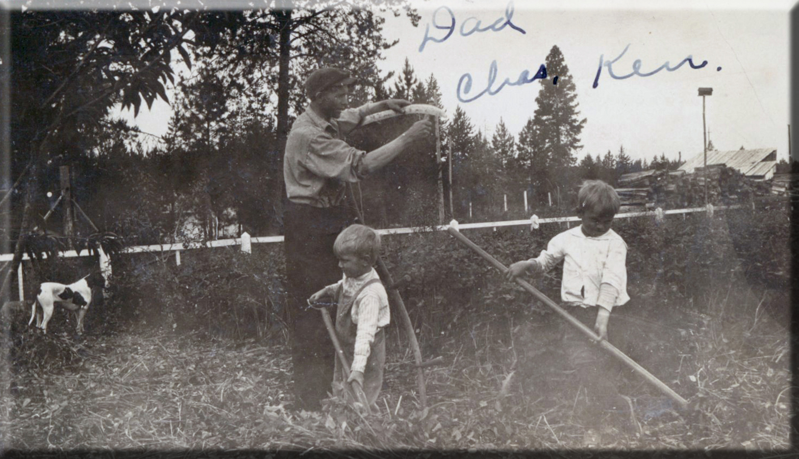 Working on the farm