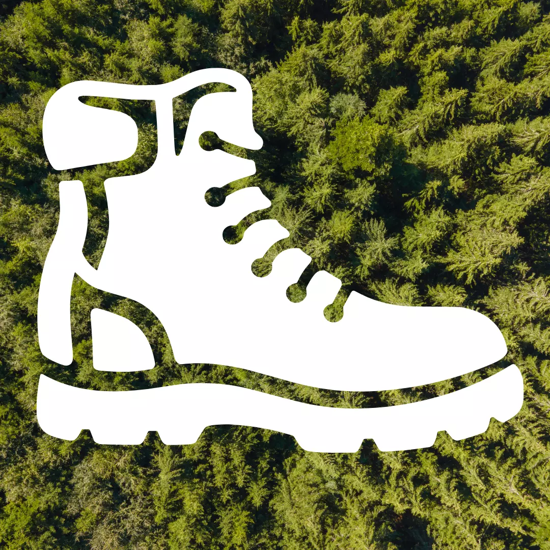 White hiking boot icon over an aerial view of a dense green forest