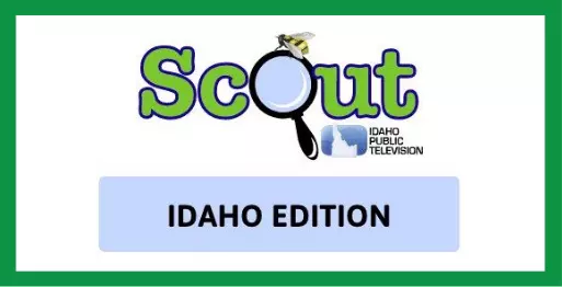 Scout Idaho Edition Idaho Public Television Button
