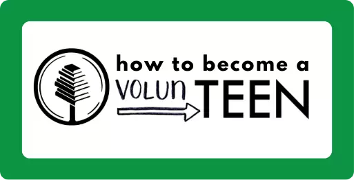 Open the "How to become a VounTeen" PDF