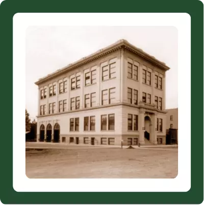 Library History Icon